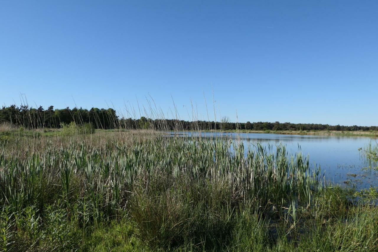 Erve Eshuus Daarle Villa Eksteriør bilde